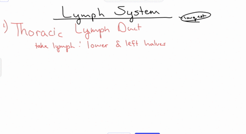 the-intestinal-and-lumbar-lymphatic-trunks-drain-lymph-into-the-a-left-lymphatic-duct-b-cisterna-chyli-c-thoracic-duct-d-right-atrium-e-right-lymphatic-duct
