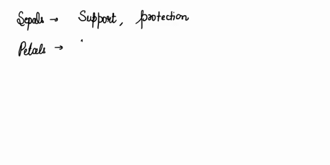 briefly-describe-the-function-of-each-ofthe-following-flower-parts-sepal-pctal-ovary-stigma-style-receptacle-filament-anther-stamen-carpel-5-ifi-were-t0-draw-simple-diagram-of-spermatogenesi-22371