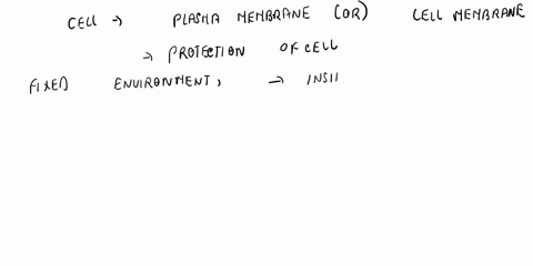 what-is-the-main-function-of-the-cell-membrane-of-a-cell-a-to-organize-the-cells-internal-contents-b-to-limit-the-size-that-the-cell-can-reach-c-to-protect-the-cell-from-harmful-substances-i-38368