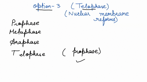 which-of-the-following-stages-of-mitosis-has-been-correctly-described-metaphase-sister-chromatides-are-separated-from-each-other-anaphase-spindle-fibres-migrate-chromosomes-towards-the-middl-62136