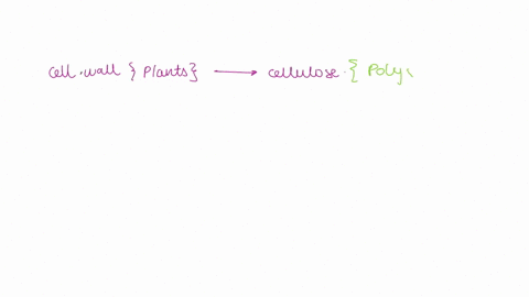 which-type-of-organic-compound-is-the-primary-cell-wall-component-molecule-in-plants-and-also-provides-energy-to-animals-in-the-form-of-food-and-makes-up-the-exoskeletons-of-insects-3-pts-42923