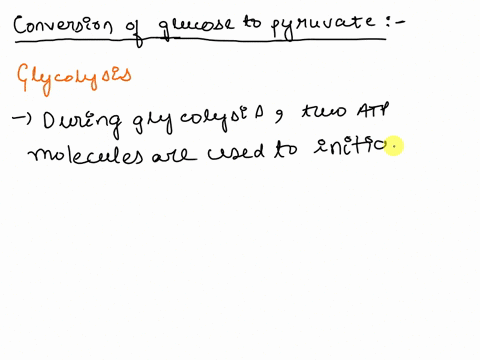 the-conversion-of-glucose-into-two-pyruvate-molecules-usually-yields-how-many-net-atp-molecules-24853