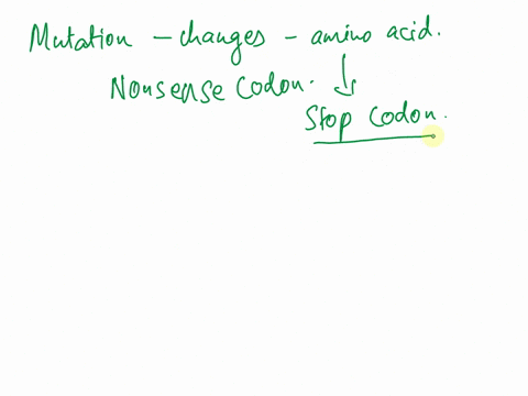 a-mutation-that-changes-an-amino-acid-coding-codon-to-a-stop-codon-is-classified-as-what-kind-of-codon-missense-nonsense-neutral-silent-conditional-20748