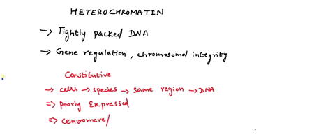 4a-on-the-chromosome-below-dearly-label-the-regions-made-up-of-constitutive-heterochromatin-alsonane-these-regions-using-correct-terminology-b-the-arrow-shows-the-location-of-the-eye-color-g-04203