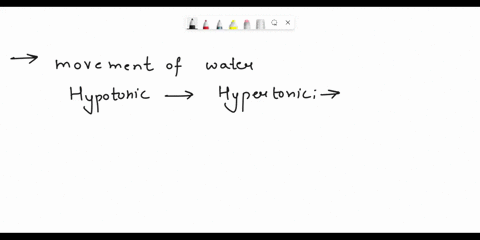 how-will-the-movement-of-water-affect-a-cell-if-it-is-transferred-from-a-hypotonic-solution-to-a-hypertonic-solution-19213