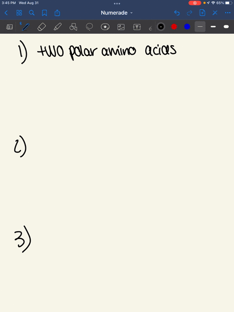 a-favorable-electrostatic-interaction-might-occur-within-a-protein-between-which-of-the-following-amino-acid-pairs-a-two-polar-amino-acids-b-a-positive-and-a-negative-charged-amino-acid-c-an-42677