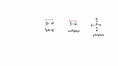 what-functional-group-is-the-most-and-least-polar-between-hydroxyl-sulfhydryl-and-phosphate-03726