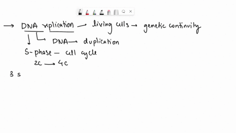 explain-the-steps-in-dna-replication-42875