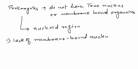 identify-four-prokaryotic-characteristics-and-list-two-prokaryotic-what-are-the-four-common-examples_-characteristics-of-all-cell-types-identify-four-eukaryotic-characteristics-list-the-four-83891