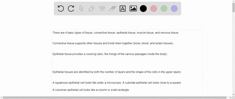 identify-the-type-of-tissue-shown-in-the-slides-below-be-as-specific-as-possible-for-example-if-it-is-epithelial-what-kind-of-epithelial-tissue-is-it-or-if-it-is-connective-tissue-what-kind-99318