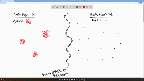 solution-a-has-a-glucose-concentration-of-10-mm-and-solution-b-has-a-nacl-concentration-of-10-mm-if-these-two-solutions-are-put-in-contact-but-separated-by-a-water-permeable-membrane-what-wi-01052