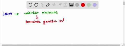 trna-is-a-type-of-rna-involved-in-translation-what-does-it-do-00914