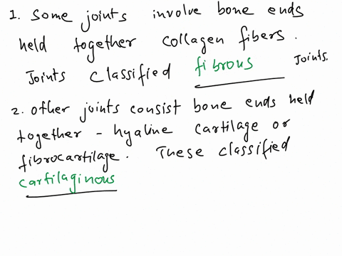 functional-structural-classification-complete-the-sentences-describing-the-structural-and-functional-classification-of-joints-synovial-diarthrotic-synarthrotic-solid-fibrous-slightly-movable-48551