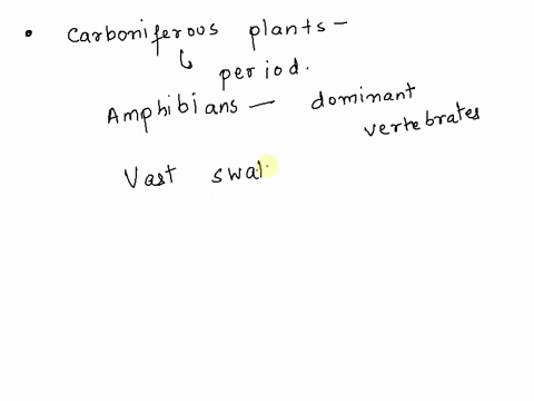 in-the-carboniferous-period-there-were-numerous-large-species-of-tree-ferns-horsetails-cycads-giant-club-mosses-lycophytes-and-conifers-growing-in-swampy-regions-these-plants-were-not-fully-67207