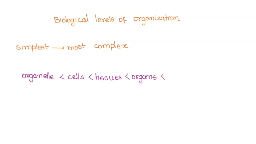 SOLVED What is the correct order of levels of organization, from