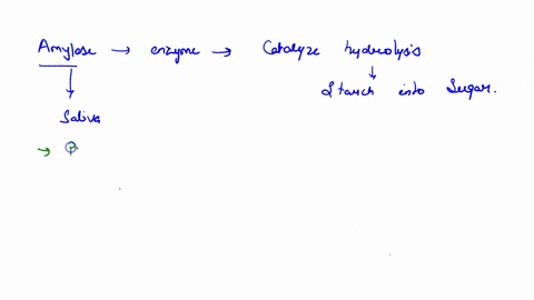 write-the-reaction-catalyzed-by-amylase-do-you-expect-this-enzyme-to-hydrolyze-cellulose-a-polymer-of-glucose-explain-30758