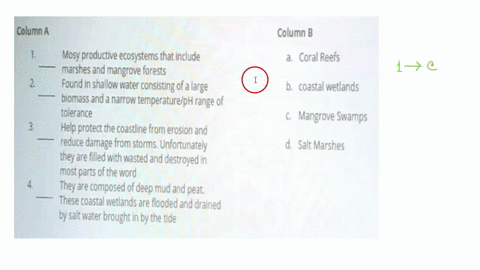 ill-mark-brainliest-please-answer-quick-foitan-salt-marshes-coral-reefs-and-mangrove-swamps-are-all-considered-this-type-of-ecosystem-question-10-1-point-match-the-following-coastal-marine-e-71557