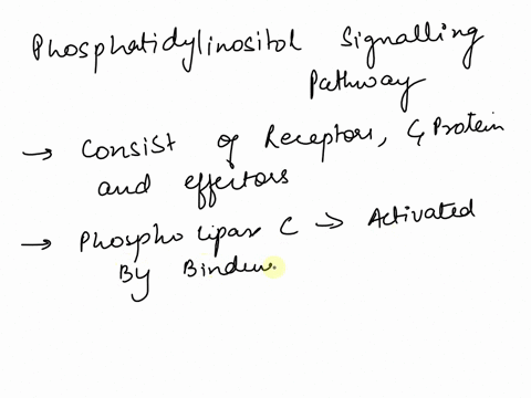 the-following-is-true-about-the-phosphatidylinositol-based-signaling-pathway-phosphatidylinositol-is-major-phospholipid-restricted-to-the-plasma-membrane-outer-leaflet-which-contains-an-inos-92967