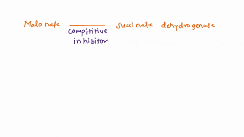 malonate-acts-as-a-competitive-inhibitor-of-succinate-dehydrogenase-by-competing-with-succinate-if-malonate-is-added-to-a-mitochondrial-preparation-that-is-oxidizing-pyruvate-as-a-substrate-27429