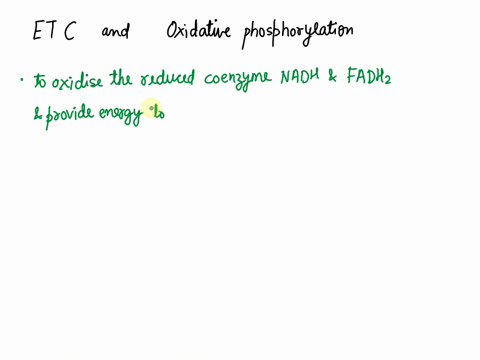 10-the-primary-function-of-the-electron-transport-chain-and-oxidative-phosphorylation-is-which-of-the-following-to-synthesize-the-reduced-coenzymes-necessary-for-digestion-to-oxidize-the-red-11843