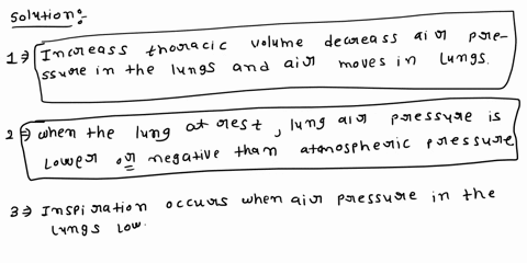 drag-a-word-or-phrase-into-the-blank-in-a-sentence-to-make-it-correct-5-increasing-thoracic-volume-air-pressure-in-the-lungsas-a-resultair-moves-the-lungs-the-same-as-diaphragm-when-lungs-ar-13451