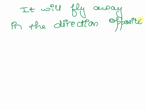 what-happens-if-you-let-an-untied-ballon-go-away-according-to-newton-law-68577