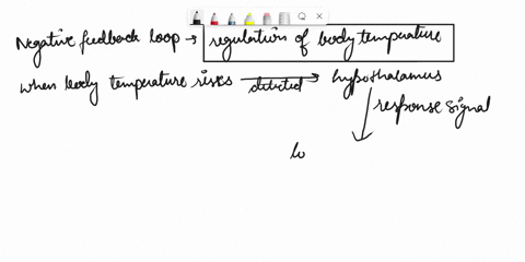 the-body-regulates-itself-through-feedback-loops-provide-one-example-of-negative-and-positive-feedback-please-explain-your-examples-thoroughly-94214