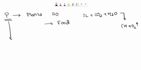 bonus-a-herbicide-blocks-the-light-reaction-of-photosynthesis-therefore-what-is-being-blocked-by-this-herbicide-act-and-killing-the-plant-what-does-the-light-reaction-do-the-herbicide-poceen-68743