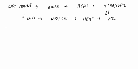 1-what-are-the-primary-limitations-imposed-by-using-hanging-drop-method-or-wet-mount-to-observe-microorganisms-state-at-least-two-2-accounts-with-brief-explanation-2-what-are-the-primary-ben-93705