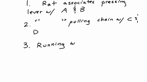 a-rat-learns-to-press-a-lever-any-time-a-stimulus-from-set-a-or-b-is-presented-and-to-pull-a-chain-any-time-a-stimulus-from-set-c-or-d-is-presented-after-responding-has-stabilized-the-rat-is-trained-2