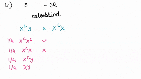12-color-blindness-is-a-sex-linked-recessive-disorder-found-on-the-x-chromosome-assume-complete-dominance-if-a-man-who-is-colorblind-and-a-woman-who-is-a-carrier-have-a-child-what-is-the-pro-94006