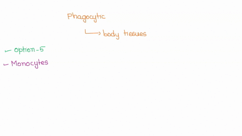 question-3-25-pts-which-cell-type-is-phagocytic-and-can-migrate-out-into-body-tissues-to-differentiate-into-macrophages-eosinophils-basophils-lymphocvtcs-neutrophils-monocytcs-83112