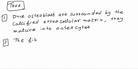 help-fast-nbston23-check-all-that-are-true-with-regards-to-bone-and-bone-tissue-once-osteoblasts-are-surrounded-by-the-calcified-extracllular-matrx-they-mature-into-osteocyes-that-maintain-b-47126
