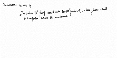 rouid-happen-the-supply-atp-was-depleted-from-the-cell-38920-the-two-step-model-glucose-transport-_-what-ould-have-no-effect-the-glucose-tansponte-make-less-of-sodium-gradient-but-the-sodium-30137