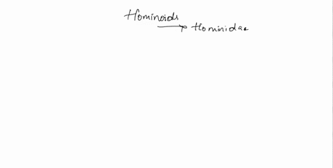 hominoids-include-select-one-a-bipedal-apes-only-b-all-homo-species-only-c-monkeys-apes-and-humans-d-all-apes-and-humans-current-and-ancestral-e-ancestral-humans-19373