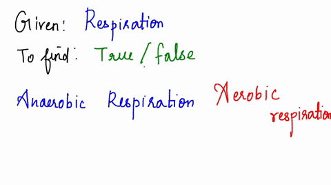 modified-is-the-statement-below-true-or-false-anaerobic-cellular-respiration-takes-place-in-the-presence-of-oxygen-while-aerobic-true-respiration-occurs-in-the-absence-of-oxygen-false-44213