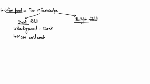 what-is-the-source-of-energy-for-the-activation-of-a-fatty-acid-in-i2-oxidation-a-phosphorylation-of-amp-b-hydrolysis-of-the-thioester-bond-in-acetyl-coa-c-hydrolysis-of-atp-to-amp-d-convers-14342