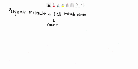 which-of-the-following-is-correct-for-the-cellular-response-mediated-by-cytotoxic-t-cells-mark-all-that-apply-perforin-molecules-disrupt-cell-membranes-and-enable-entry-of-granzymes-helper-t-26826