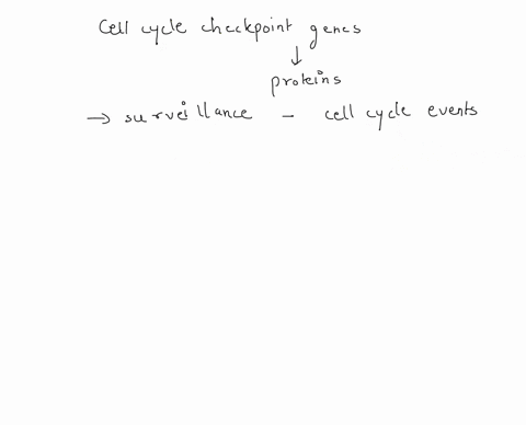 what-is-the-purposes-of-the-checkpoint-genes-the-check-point-genes-stop-the-cell-cycle-to-ensure-they-stop-gene-synthesis-to-check-and-chromosomal-aberrations-are-rectified-the-absence-of-ch-34913