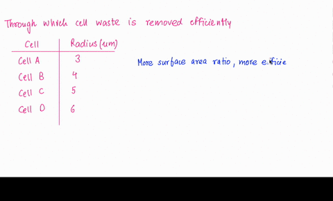 the-physical-characteristics-of-a-cell-influence-how-it-functions-for-ofa-cell-affect-how-efficiently-example-the-surface-area-and-volume-waste-is-removed-from-the-cell-via-diffusion-the-tab-87358
