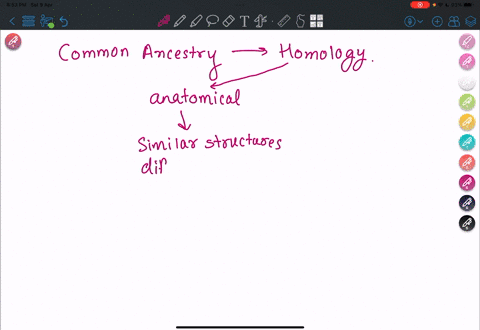 which-of-the-following-provides-evidence-that-vertebrates-evolved-from-a-common-ancestor-anatomical-homologies-homologies-in-development-and-embryology-genetic-homologies-in-dna-biochemical-69168