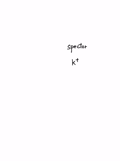 identify-the-spectator-ions-in-the-following-complete-ionic-equation-2kaqs2aqpb2aq2no3aqpbss2kaq2no3aq-94724