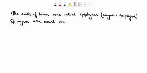 what-are-the-ends-of-bones-called-71265