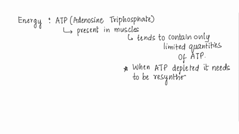 during-a-high-energy-athletic-event-such-as-a-sprint-most-of-the-energy-that-is-provided-to-the-muscles-comes-from-a-glycolysis-b-the-electron-transport-chain-c-the-krebs-cycle-d-fermentatio-03715
