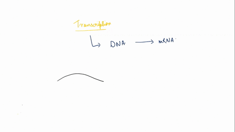transcription-is-the-formation-of-a-strand-of-dna-prior-to-the-manufacture-of-a-protein-protein-based-on-information-carried-by-rna-two-new-dna-double-helices-that-are-identical-to-an-old-dn-37868