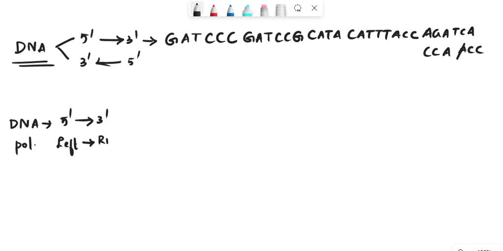 SOLVED A strand of DNA has the base sequence GATTCA Write the base