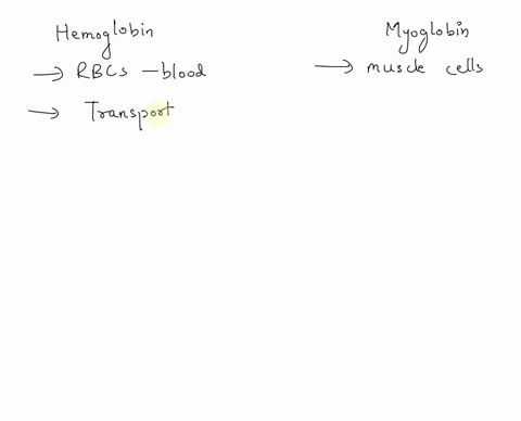 question-14-which-of-the-following-is-correct-concerning-the-differences-between-hemoglobin-and-myoglobin-all-of-the-above-hemoglobin-exhibits-cooperative-binding-of-oxygen-while-myoglobin-d-07277