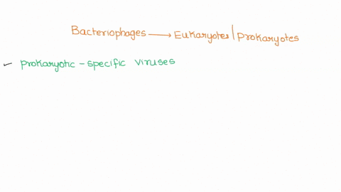 do-bacteriophages-infect-eukaryotes-prokaryotes-or-both-55075