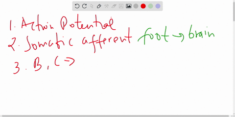 no-need-to-explain-please-highlight-the-answer-what-terms-denotes-a-sudden-change-depolarization-and-repolarization-in-the-electrical-properties-of-the-neuron-membrane-action-potential-synap-56938