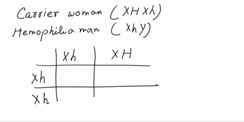 hemophilia-is-an-x-linked-recessive-disease-if-a-woman-who-is-normal-xhxh-marries-a-man-with-hemophilia-xhy-what-percentage-of-their-female-children-will-be-expected-to-have-the-disease-what-59126